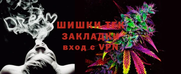 дмт Осташков