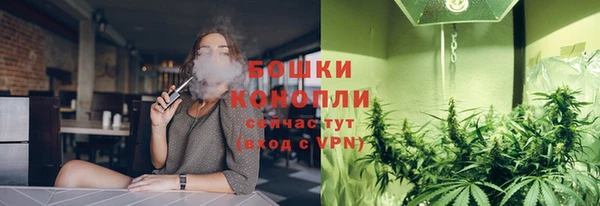 дмт Осташков