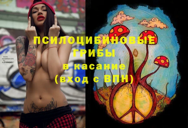 дмт Осташков