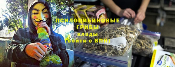 СК Няндома