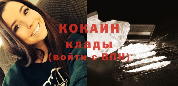 дмт Осташков