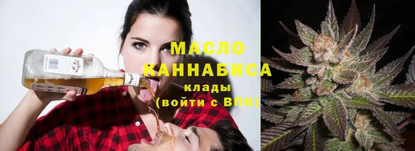 дмт Осташков