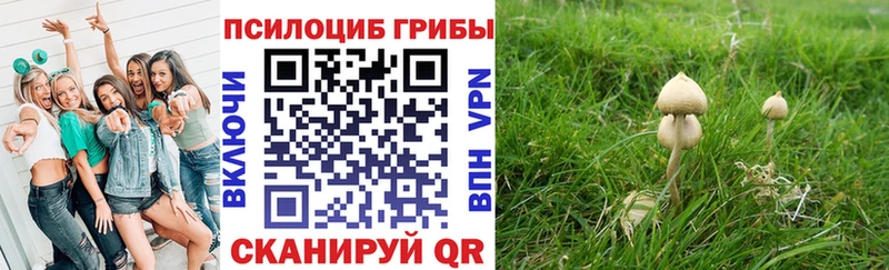 Псилоцибиновые грибы Psilocybe  Стрежевой 