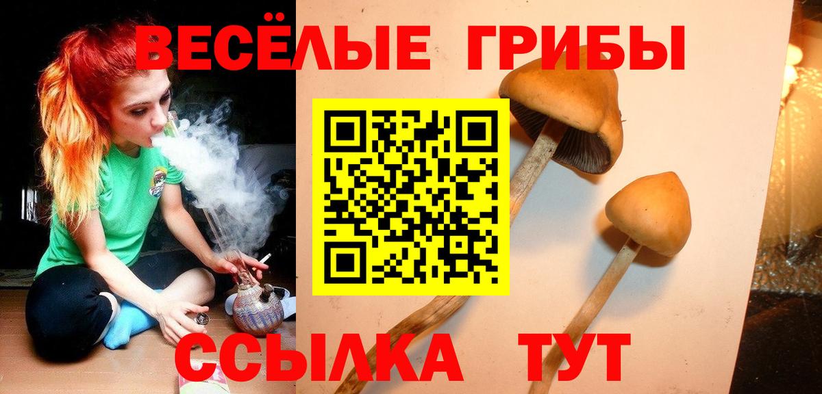 Псилоцибиновые грибы GOLDEN TEACHER  Стрежевой 